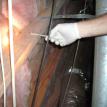 Mold testing in a crawlspace